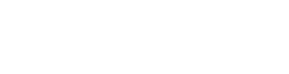 DSE - Danske Selvstændige Ejendomsmæglere logo hvid DSE - Danske Selvstændige Ejendomsmæglere logo hvid